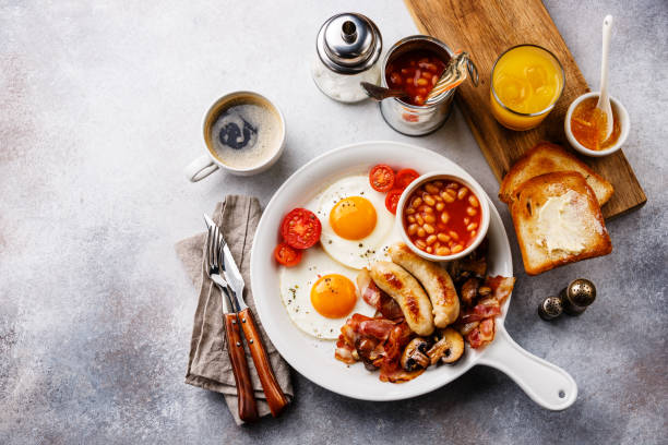 Muscle Gain High Protein 24 Days - Break Fast + Lunch